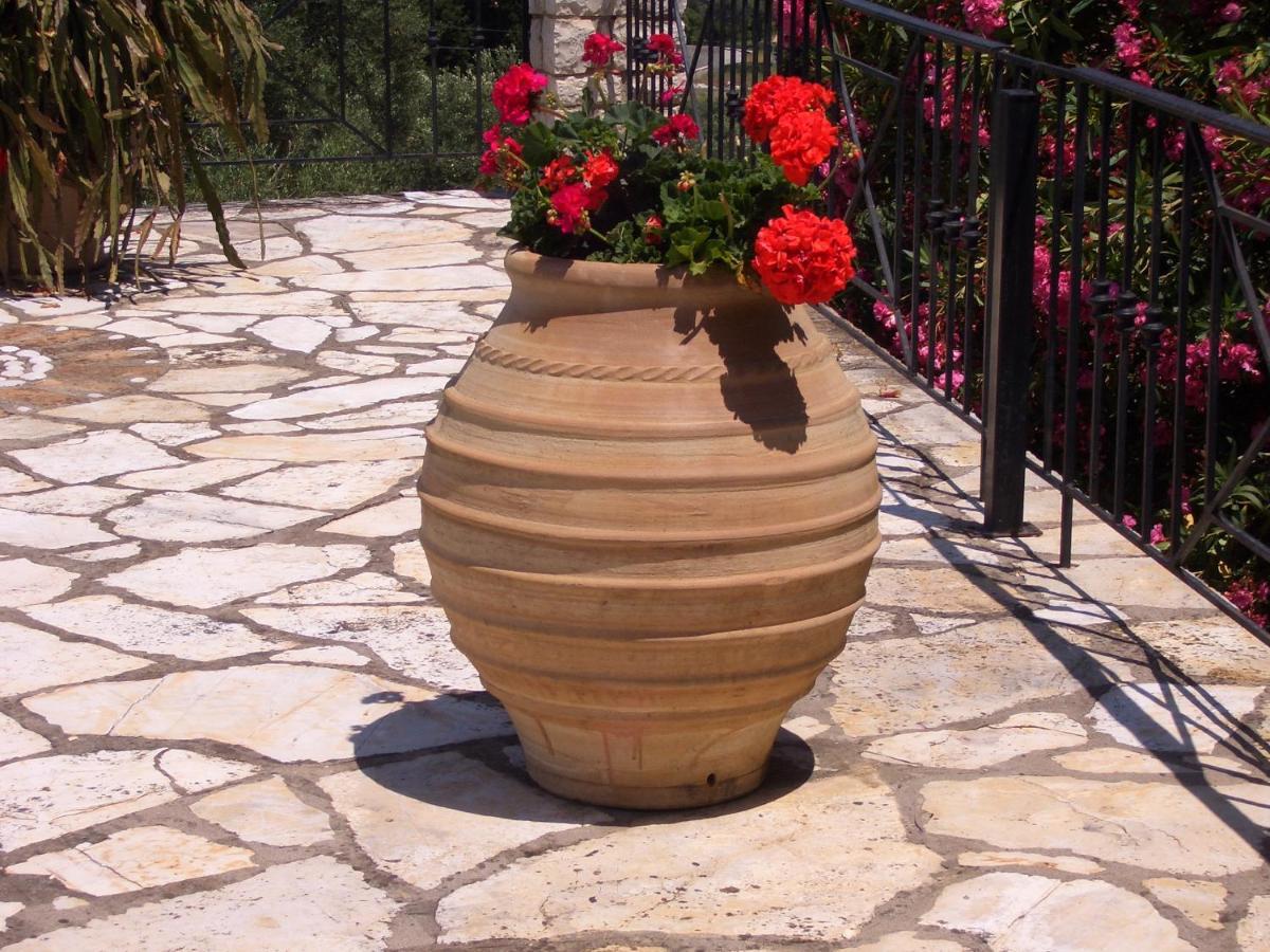 Villa Bacchus Kassiopi Corfu מראה חיצוני תמונה